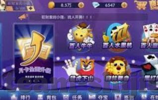 世界杯投注哪个官网-世界杯投注官网，选择需谨慎，安全为首要